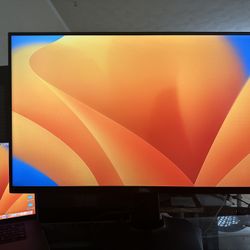 Dell 27 Inch  Monitor 