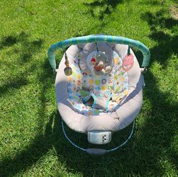 Winnie The Pooh Bouncer