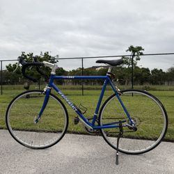 Blue Performance R202 Road Bike