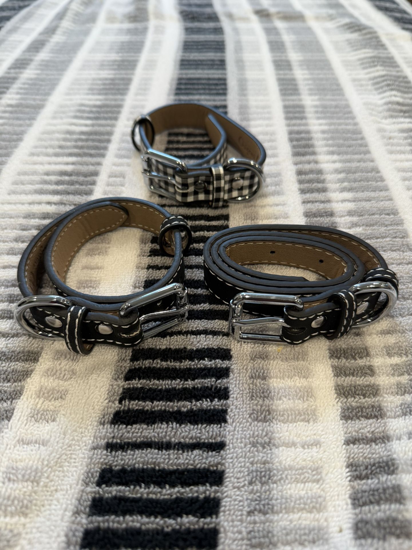 Dog Collars