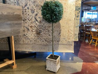 Round Faux Topiary in Rustic White Box