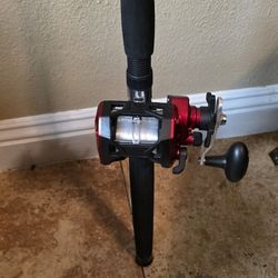 Berkeley Big Game Power Series Fishing Rod & Reel