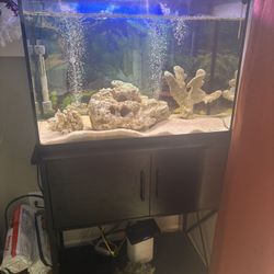 29 Gallon Fully Established Fish tank 