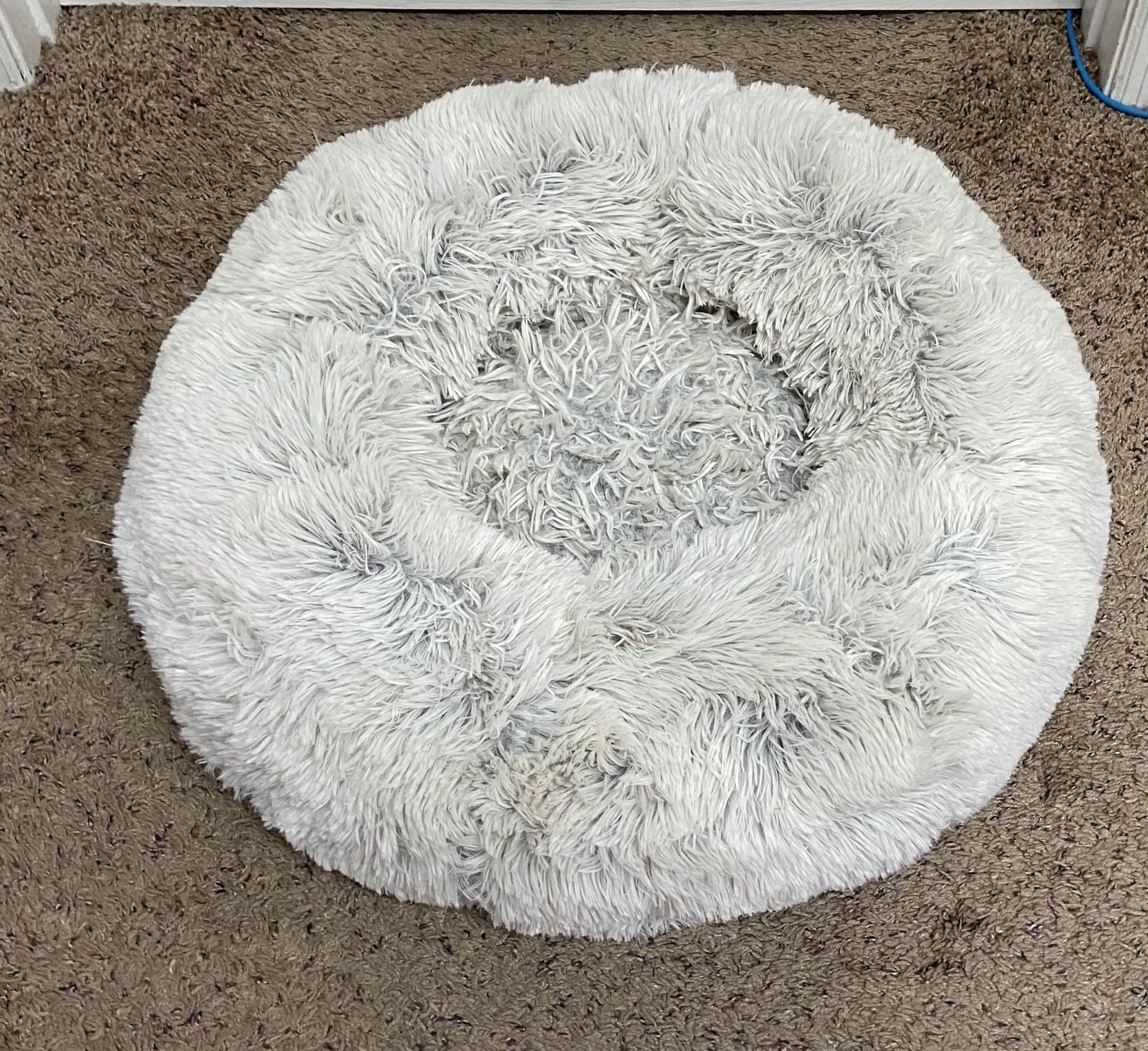 Small Pet Bed Just $3