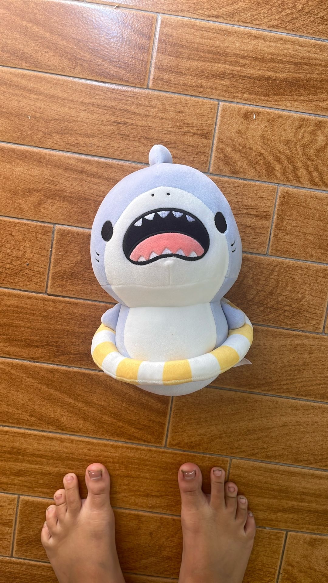 5$ Shark Plushie