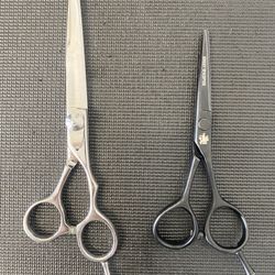 Professional Hair Cutting Shears