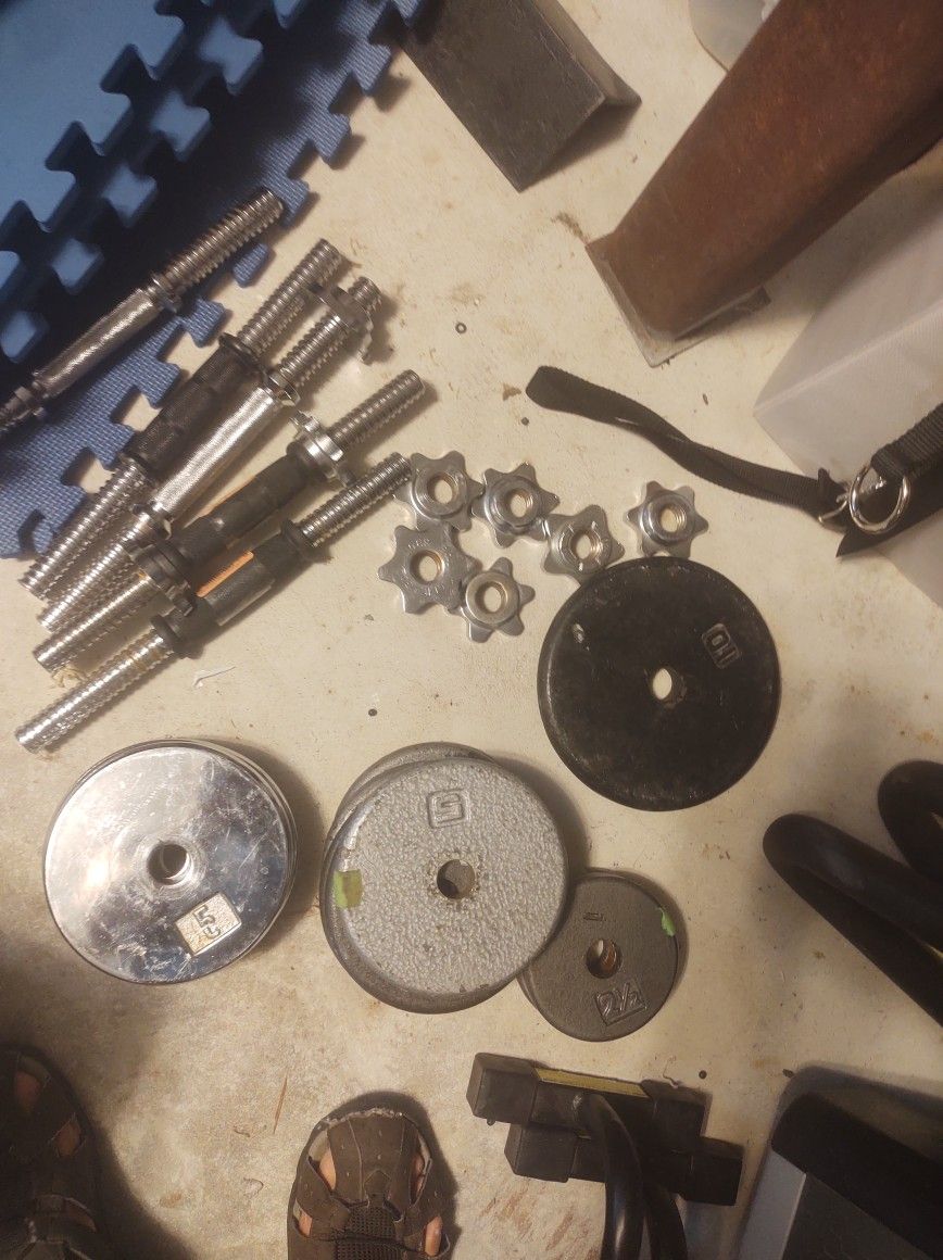 Standard Weight Plates And Dumbbell Bars