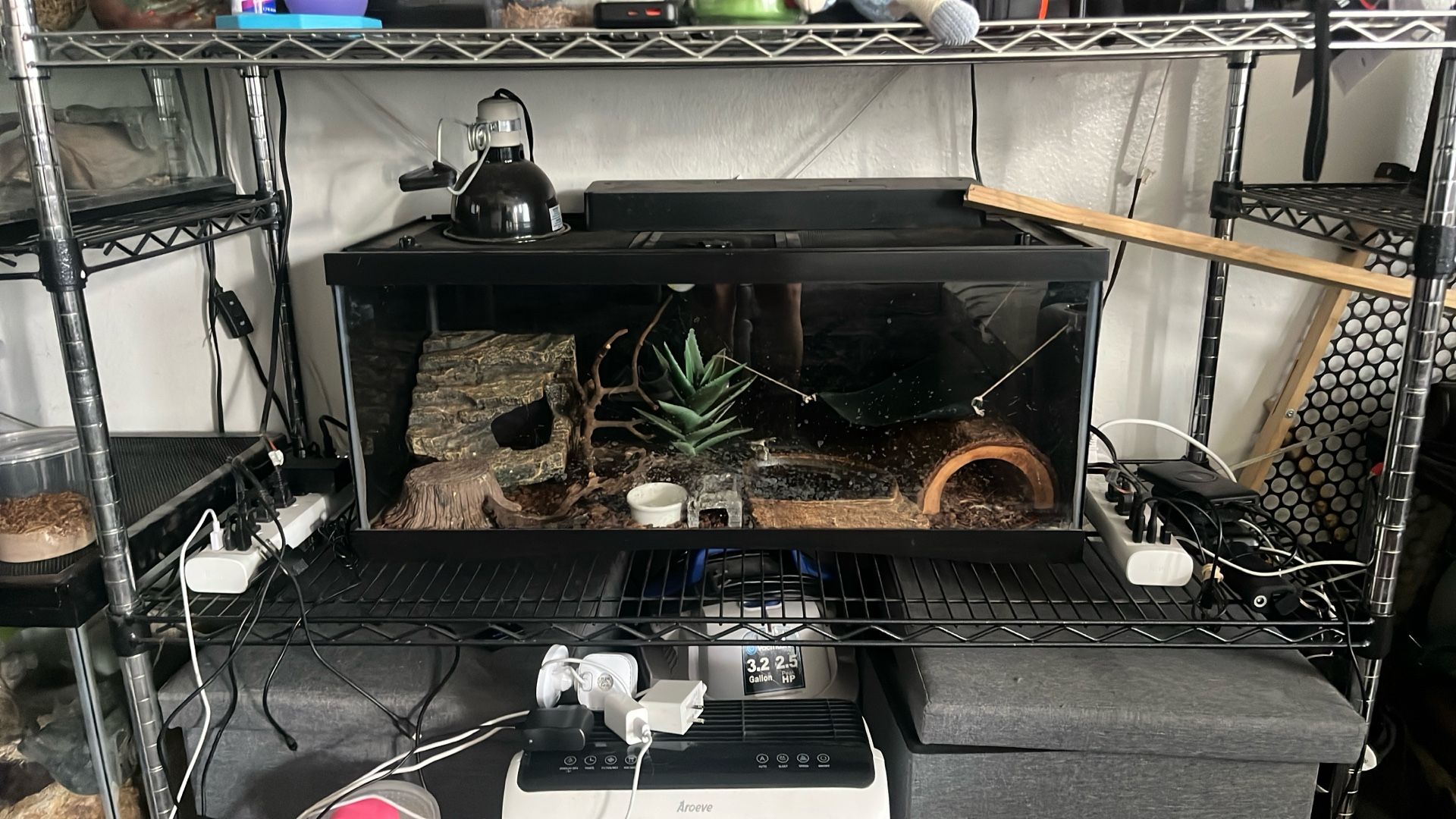 20 Gallon Terrarium Enclosure