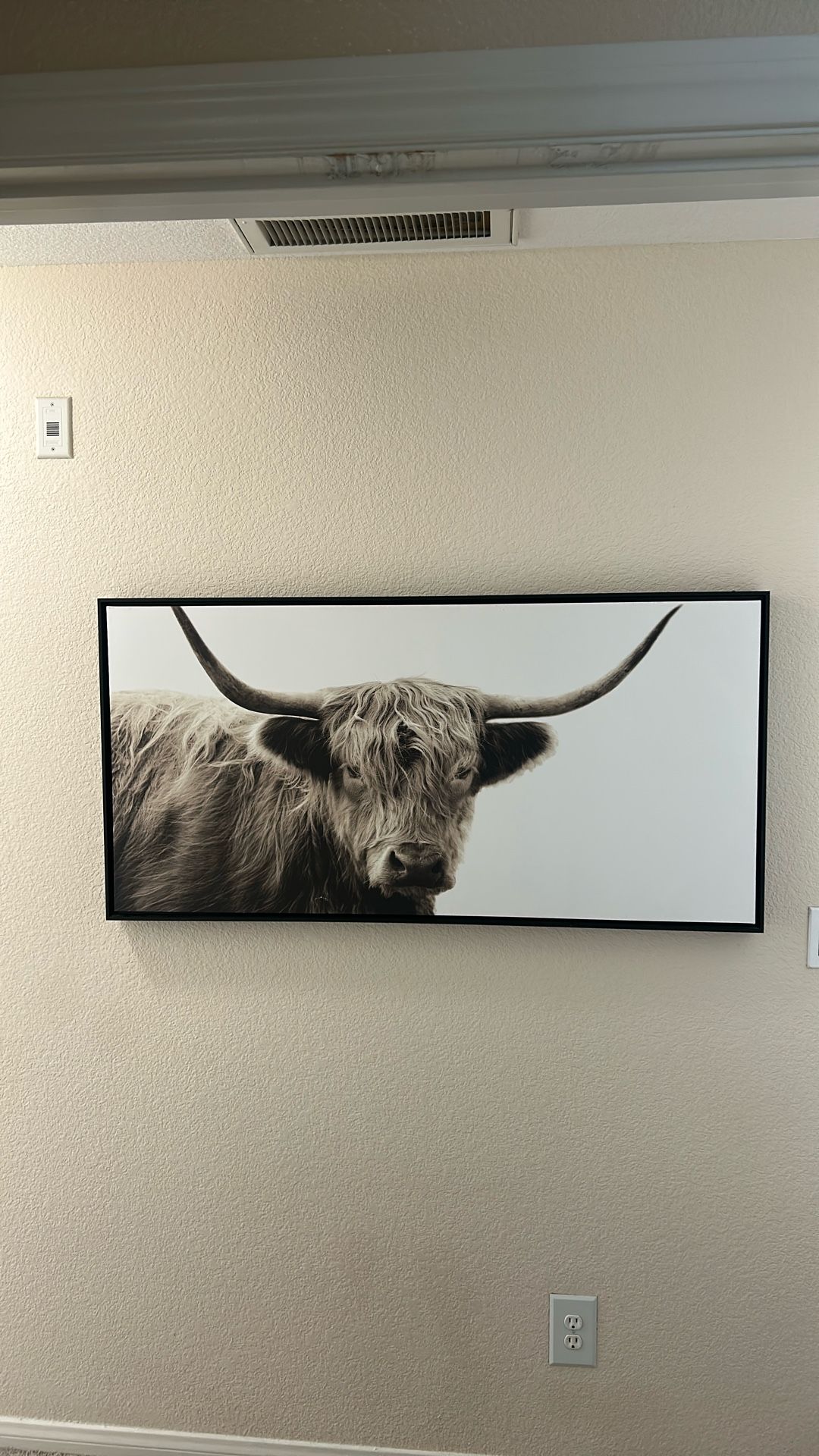 Western Ox Wall Art
