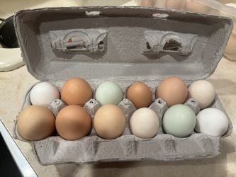 Fresh Chicken And Duck Eggs