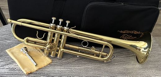 Trumpet with carry case in excellent condition, complete with mouthpiece. $85