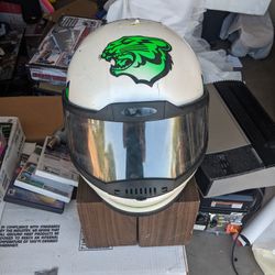 Vintage Arctic Tiger Snowmobile Helmet