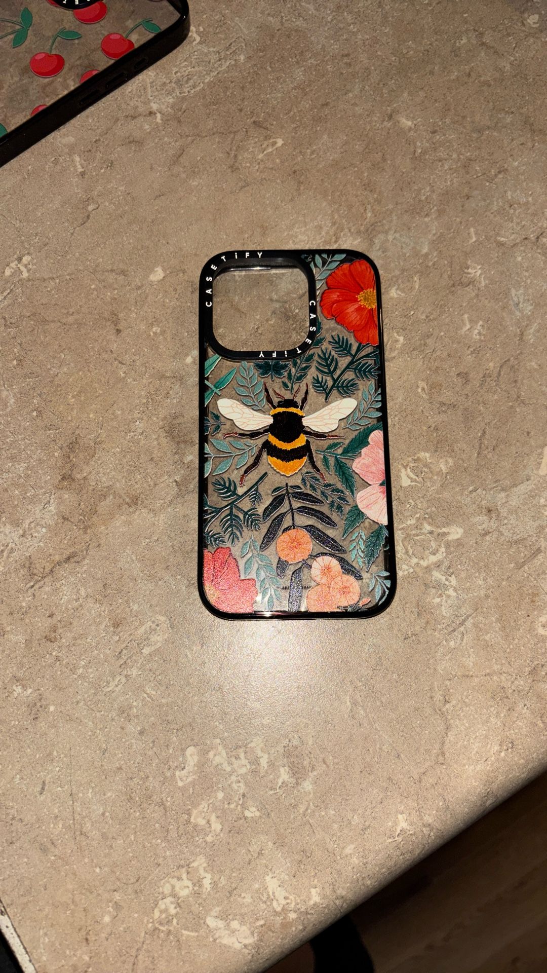 iPhone 16 Pro Casetify Case