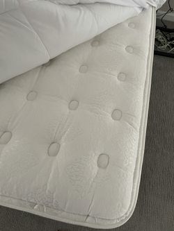 2 54”Mattresses (full Size) 