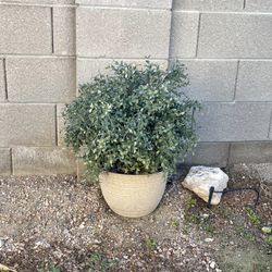 Artificial Boxwood Bush 