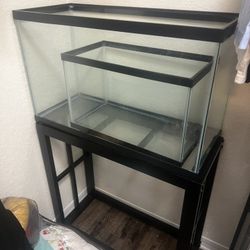 Aquarium Lot