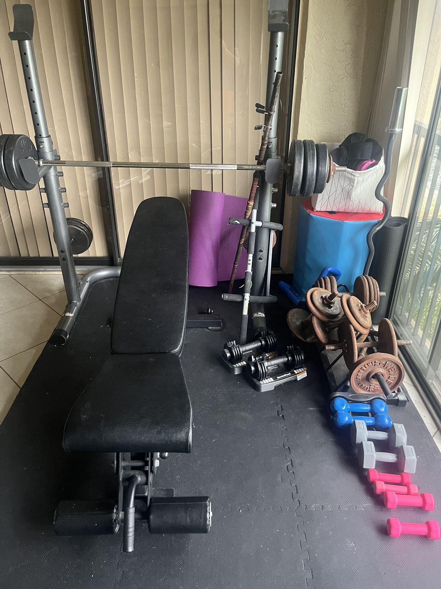 gym equipment