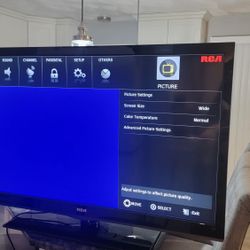 Rca Tv Needs A Remote  But It Works Great  $100  Firm