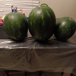 Watermelon/Sandias