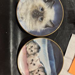 Home Decor & Women clothing 