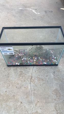 20 gallon aquarium