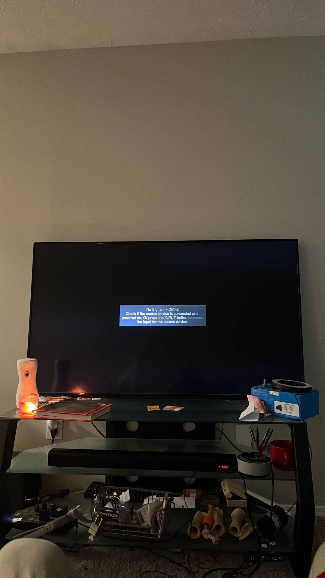 Vizio 55”