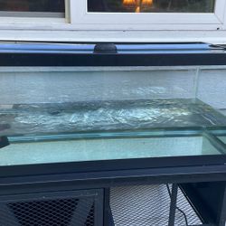 20 Gallon Long Aquarium Fish Tank With Stand & Lid