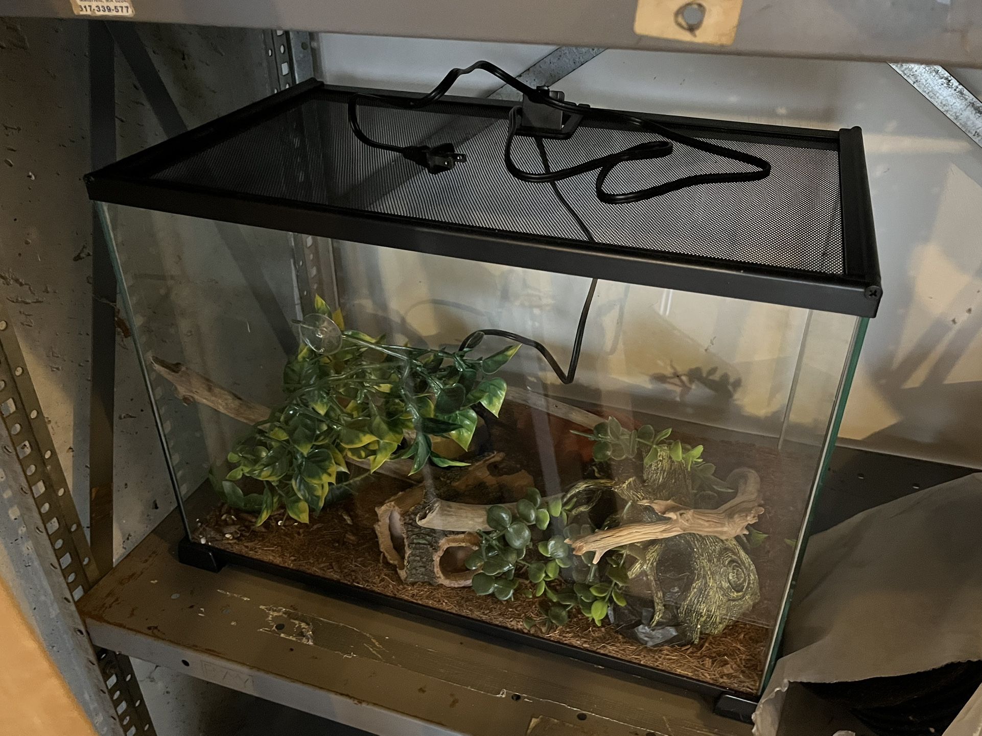 Glass Cage