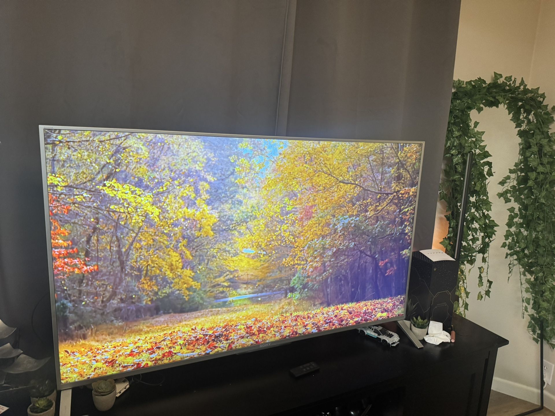 Sony 4k TV