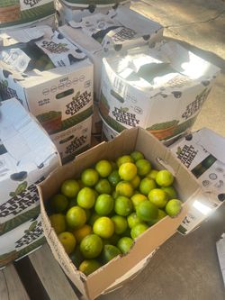 Limones $10 la caja solo hoy quedan pocas