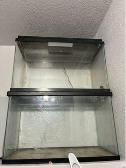 Fish tank snake tank