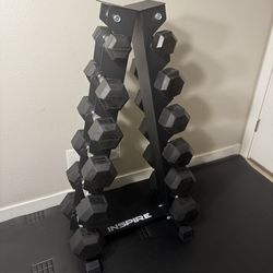 Olympic Dumbbells 💪