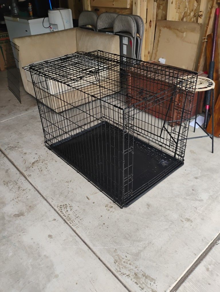 Dog Kennel