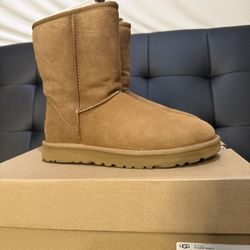 W classic short II(BEST OFFER)