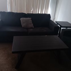 Gently Used Sofa And Love Seat