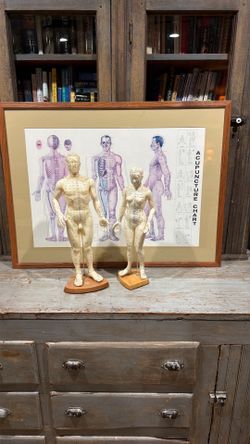 Acupuncture medical figures / Glass framed chart