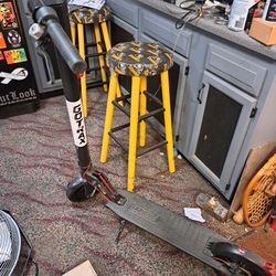 Go Trax Electric Scooter 