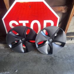 Tesla Oem Caps Rims 