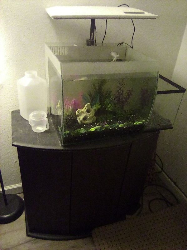 10 Gallon Fish tank