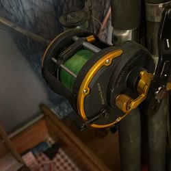 Penn Reel Sql50Lw 