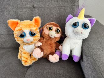 Feisty Pets Bundle!