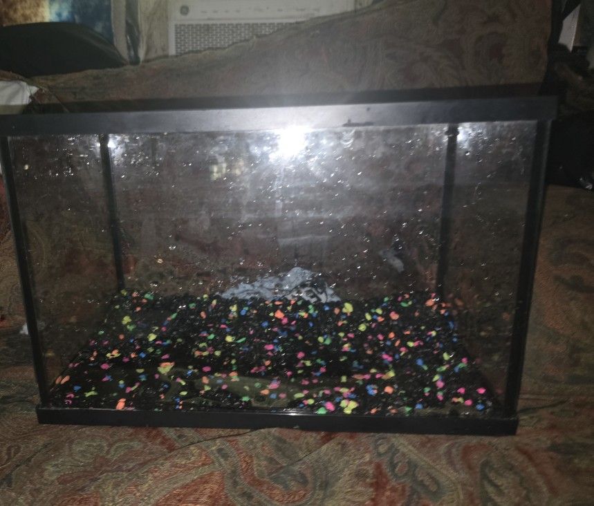 Fish Tank