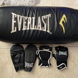 🤜 Everlast punching Bag And Gloves 🥊