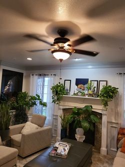 Ceiling Fan