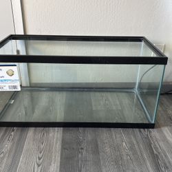 40 Gallon Glass Aquarium Tank Fish Tank
