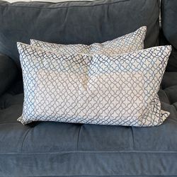 Rectangular Down Pillows (Set Of 2)