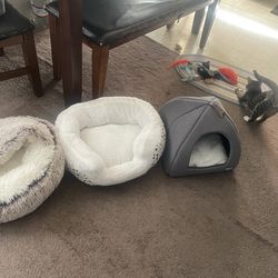 Cat Beds