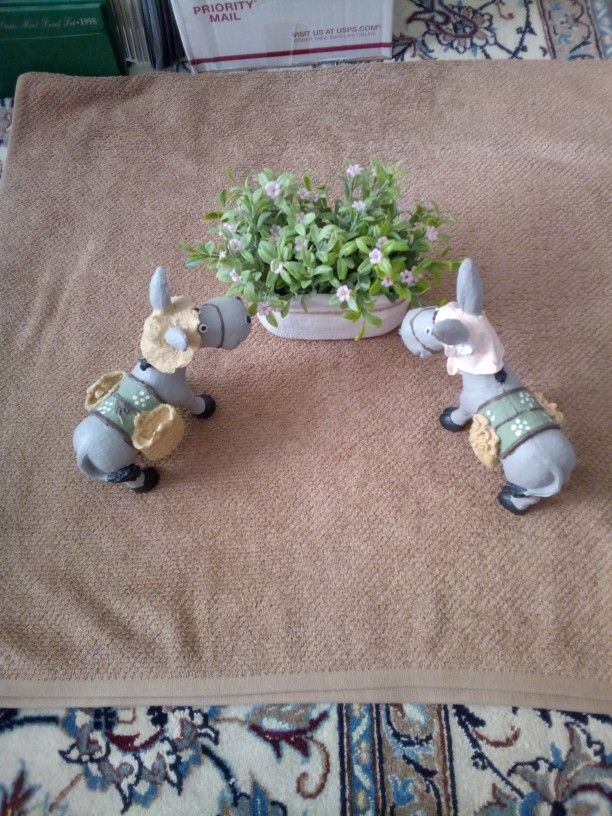 Female And Male Donkeys With Plant Container