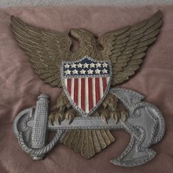 Military Eagle Coast Guard