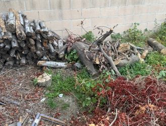 Free dry wood